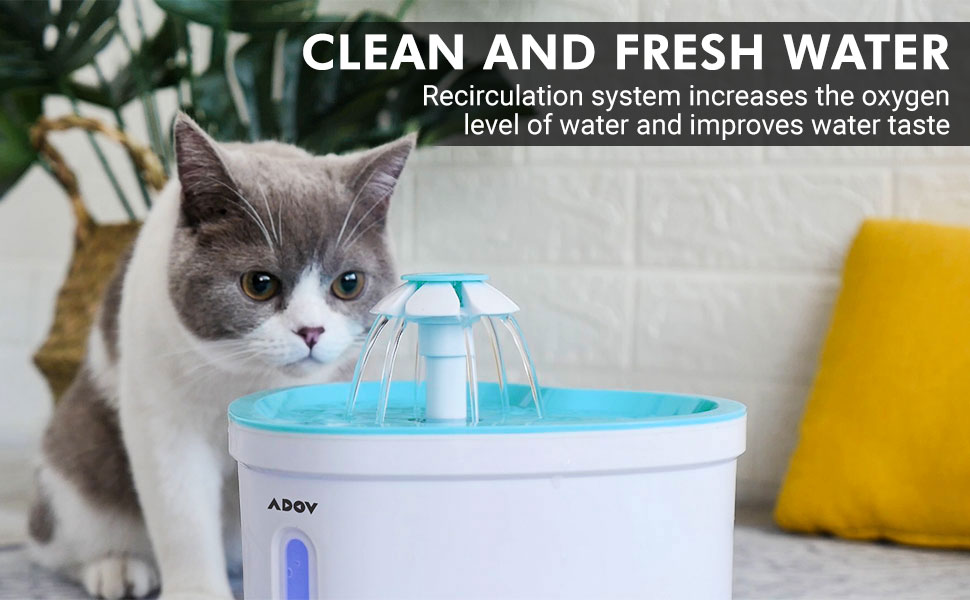 Cat Water Fountain