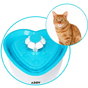 Pet Water Fountain