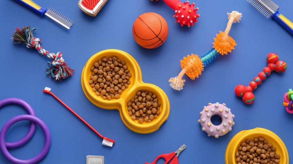 Different pet accessories and food on blue background