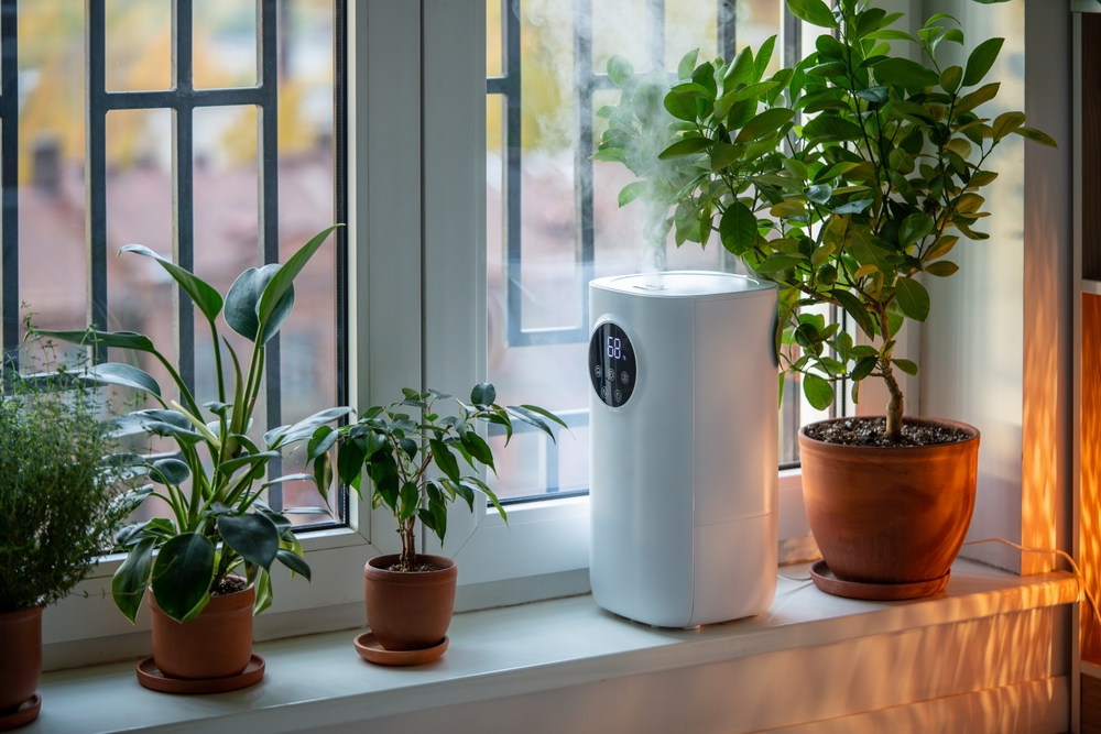 A cozy window sill displaying a humidifier and various potted plants, contributing to a healthy and vibrant indoor space.